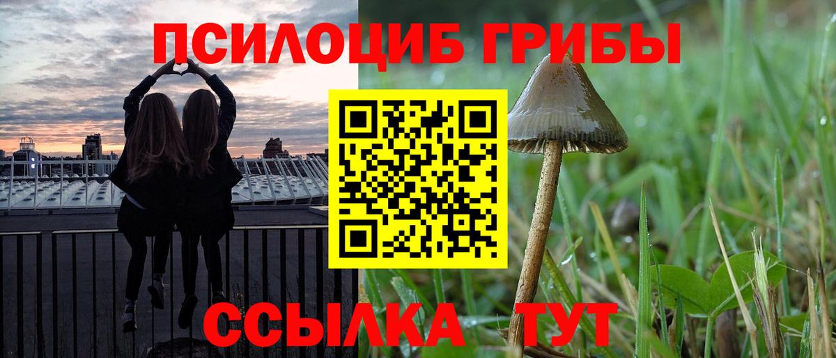 Междуреченск  Галлюциногенные грибы мицелий  Вход с VPN 